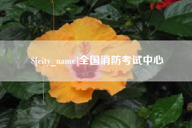 汶上全国消防考试中心
