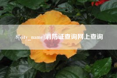 汶上消防证查询网上查询