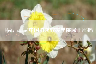 汶上中国消防救援学院属于985吗
