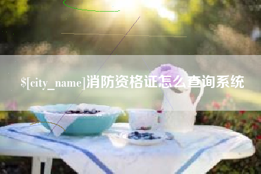 汶上消防资格证怎么查询系统