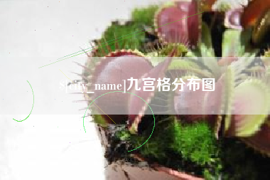 汶上九宫格分布图
