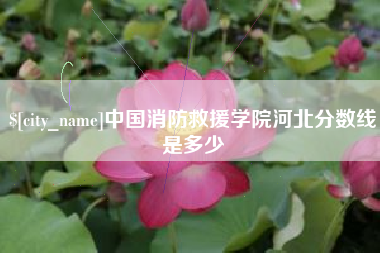 汶上中国消防救援学院河北分数线是多少