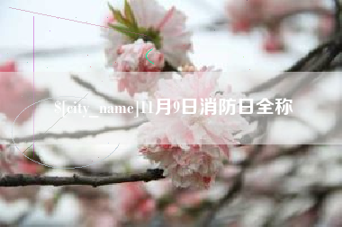汶上11月9日消防日全称