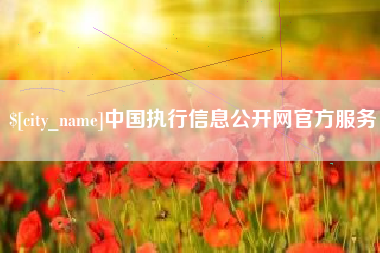 汶上中国执行信息公开网官方服务