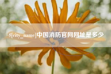 汶上中国消防官网网址是多少