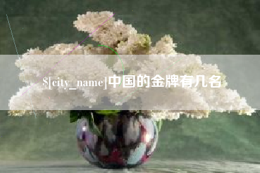 汶上中国的金牌有几名