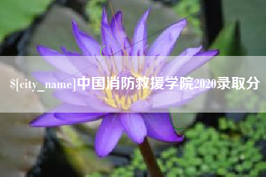 汶上中国消防救援学院2020录取分