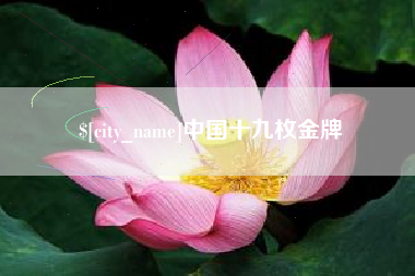 汶上中国十九枚金牌