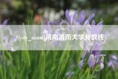 汶上河南消防大学分数线