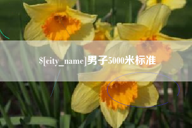 汶上男子5000米标准