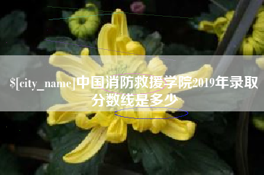 汶上中国消防救援学院2019年录取分数线是多少
