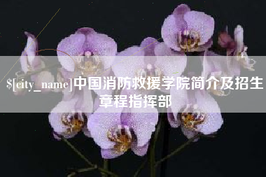 汶上中国消防救援学院简介及招生章程指挥部