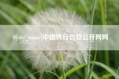 汶上中国执行信息公开网网