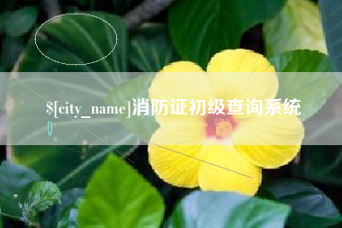 汶上消防证初级查询系统