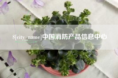汶上中国消防产品信息中心