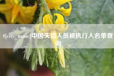 汶上中国失信人员被执行人名单查询