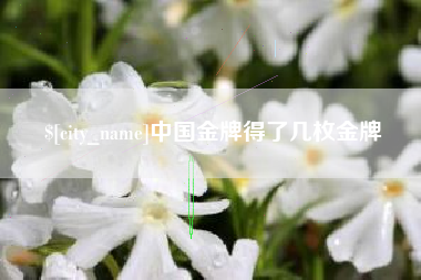 汶上中国金牌得了几枚金牌