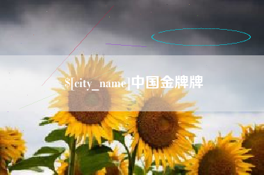 汶上中国金牌牌