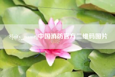 汶上中国消防官方二维码图片