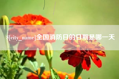汶上全国消防日的日期是哪一天