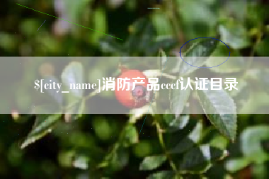 汶上消防产品cccf认证目录