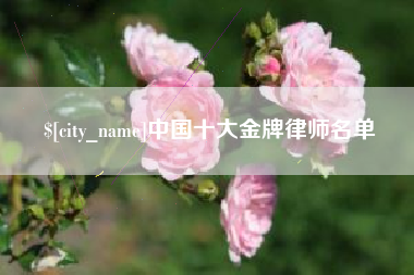 汶上中国十大金牌律师名单