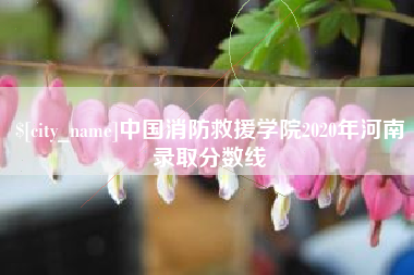 汶上中国消防救援学院2020年河南录取分数线
