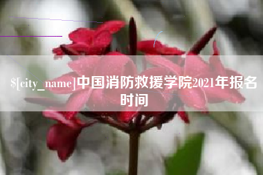 汶上中国消防救援学院2021年报名时间