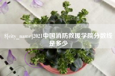 汶上2021中国消防救援学院分数线是多少