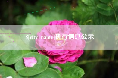 汶上执行信息公示