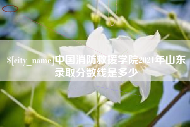 汶上中国消防救援学院2021年山东录取分数线是多少