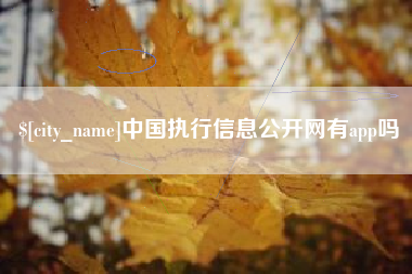 汶上中国执行信息公开网有app吗