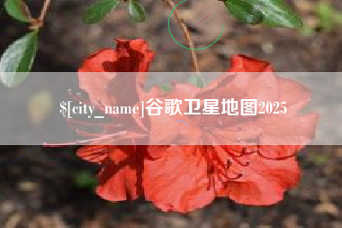 汶上谷歌卫星地图2025