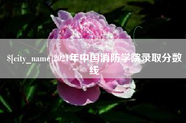 汶上2021年中国消防学院录取分数线