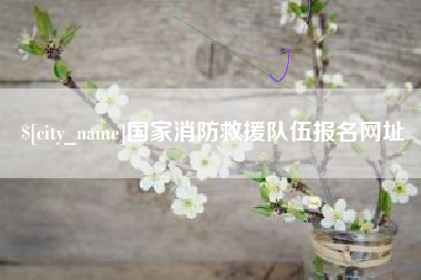 汶上国家消防救援队伍报名网址