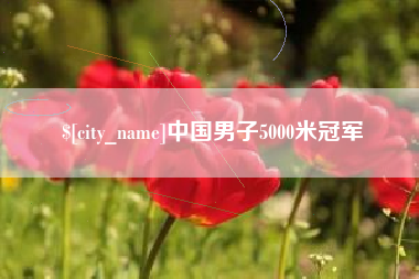 汶上中国男子5000米冠军