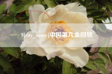 汶上中国第九金回放