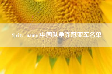 汶上中国队争夺冠亚军名单