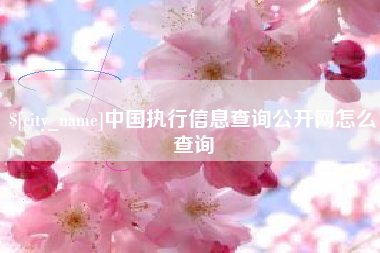 汶上中国执行信息查询公开网怎么查询