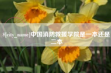 汶上中国消防救援学院是一本还是二本
