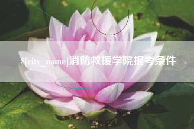 汶上消防救援学院报考条件