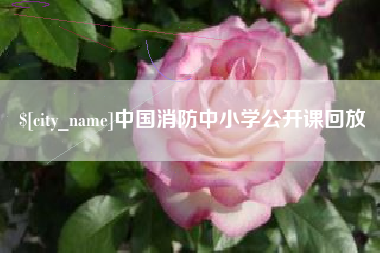 汶上中国消防中小学公开课回放