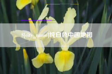 汶上纯白色中国地图