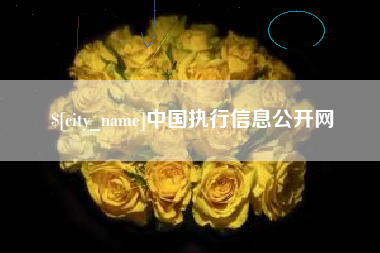 汶上中国执行信息公开网