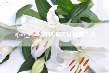 汶上森林消防日是哪一天