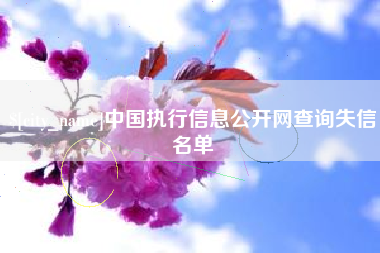 汶上中国执行信息公开网查询失信名单
