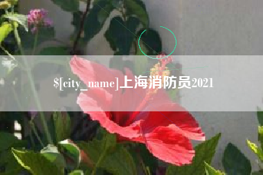汶上上海消防员2021