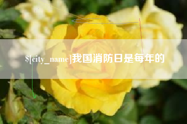 汶上我国消防日是每年的