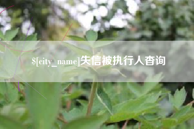 汶上失信被执行人杳询