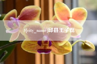 汶上邱县王子磊